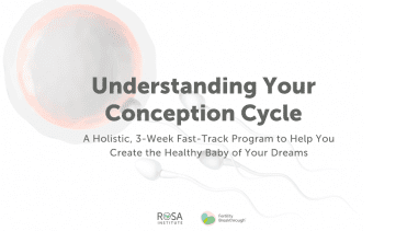 Conception Cycle