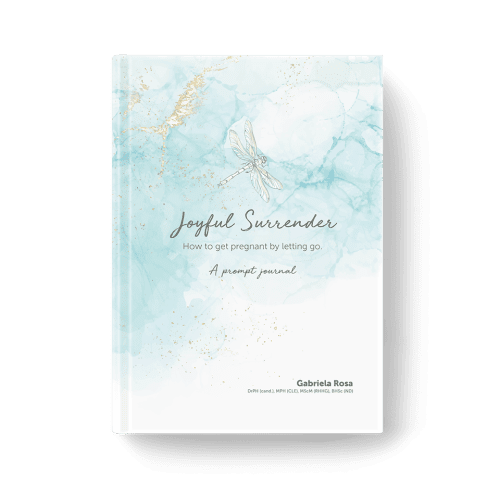 Joyful Surrender: How to get pregnant by letting go. A prompt journal by Gabriela Rosa.