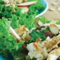 Fertility Food Revolution Weekly Meal Plans Kale Chicken Salad