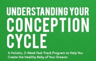 Understanding Your Conception Cycle Fertility