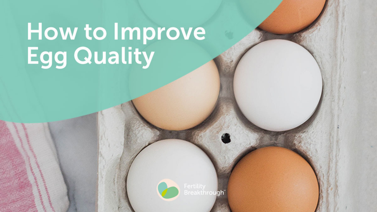 How To Improve Egg Quality (1)