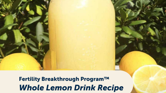 Thumbnail Blogpost Lemon Recipe