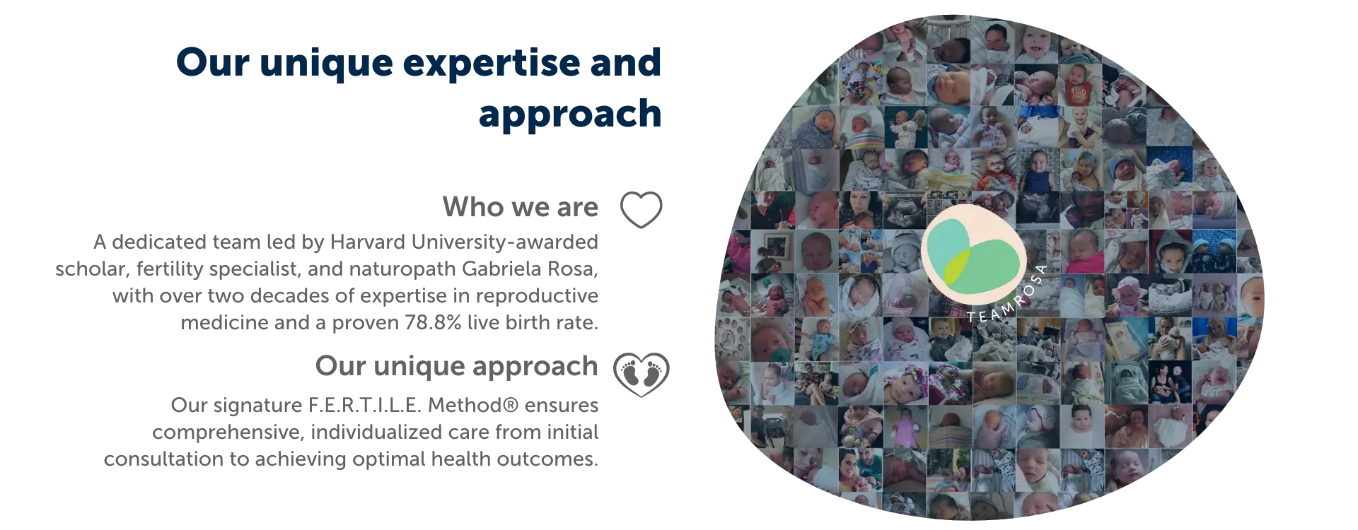 Unique Expertise desktop_130824 Unique Expertise Desktop 130824